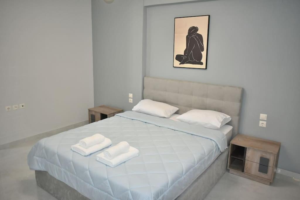 Modern Luxury Suite Karditsa Luaran gambar